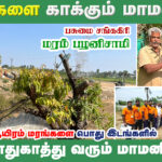 🌳 30,000 மரங்கள் நடவு செய்த மனிதர் | மரம் பழனிச்சாமி
