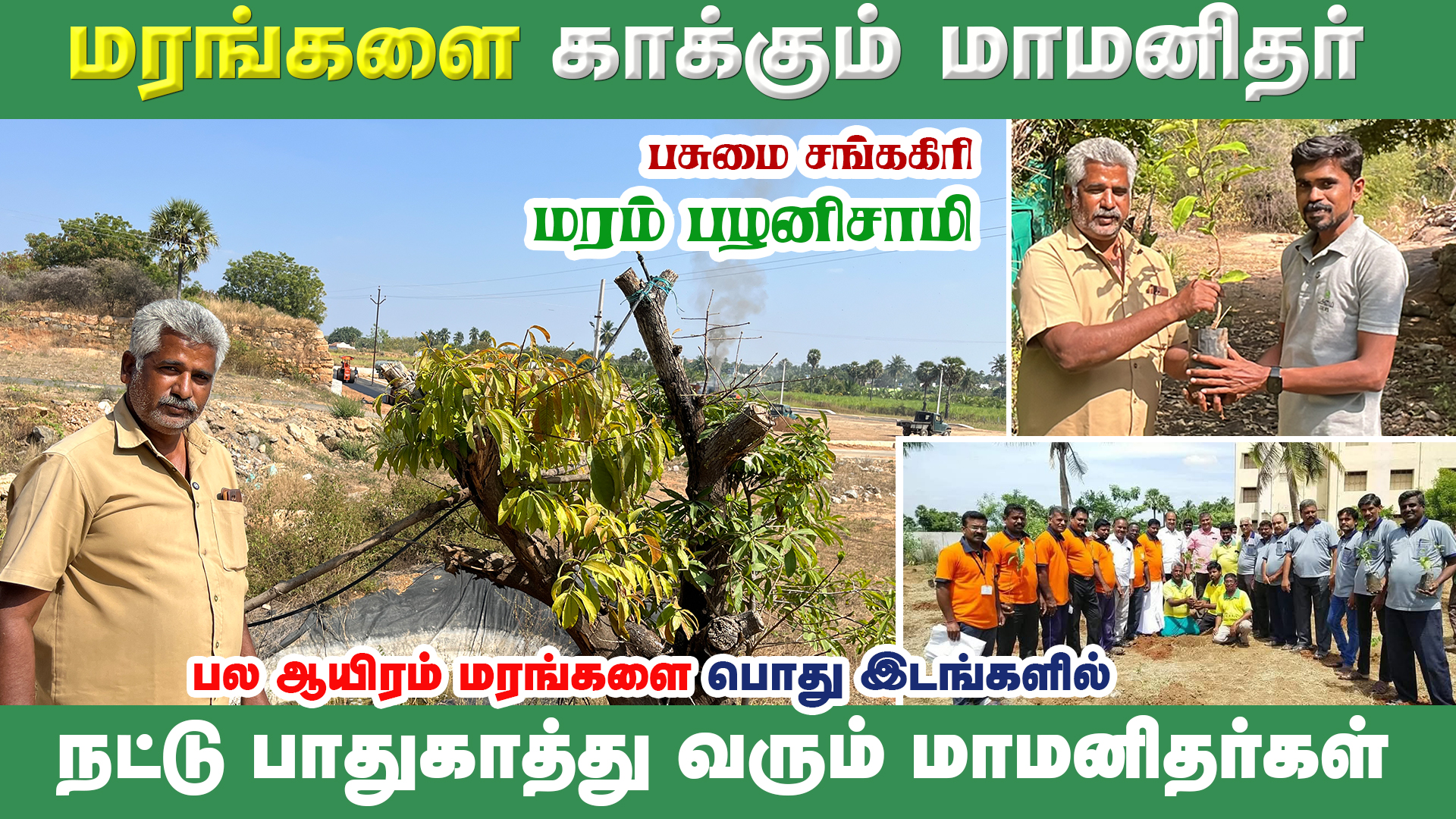 Read more about the article 🌳 30,000 மரங்கள் நடவு செய்த மனிதர் | மரம் பழனிச்சாமி