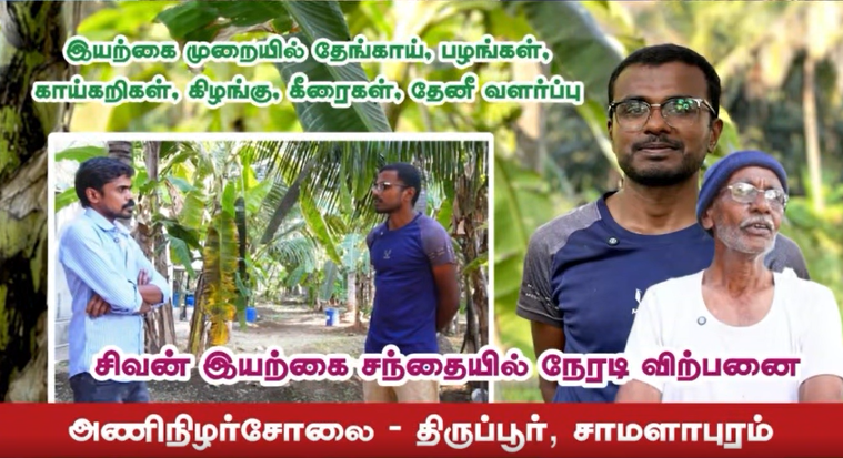 திருப்பூரில் இயற்கை முறையில் தென்னை, பழங்கள், காய்கறி, கீரைகள் | 5 Layer Farming | Pasumai Talks