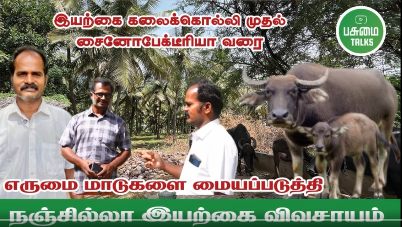 12 எருமைகளை வைத்து 16 ஏக்கர் இயற்கை விவசாயம் | Sustainable Farming | Organic Farming | Pasumai Talks