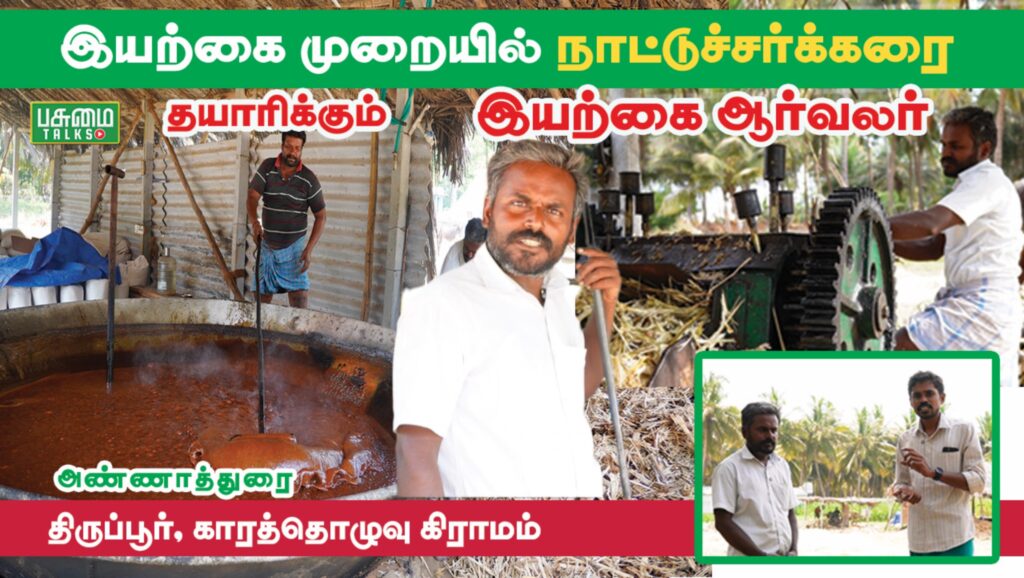 திருப்பூர் காரத்தொழுவில் இரசாயணமில்லா நாட்டுச்சர்க்கரை தயாரிக்கும் விவசாயி | Sugar | Pasumai Talks