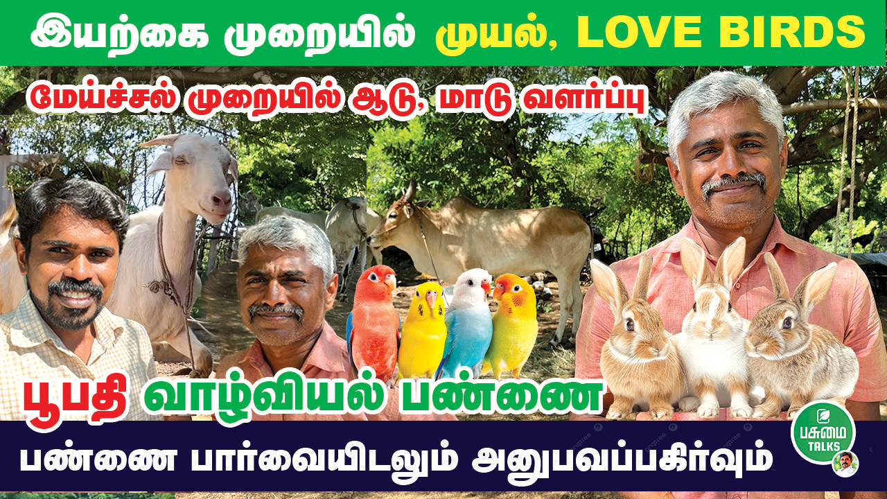 Read more about the article அவிநாசி இளைஞரின் உணவுக்காடு | Organic Farmer Prabhakaran’s Food Forest & Home Garden Pasumai Talks